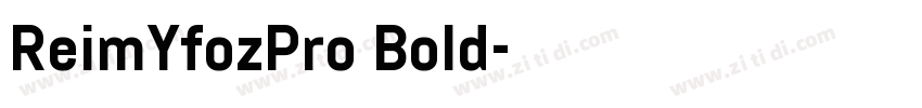 ReimYfozPro Bold字体转换